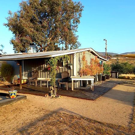 Finca Vidandrei CASA EUCALIPTO Valle de Guadalupe Exteriör bild
