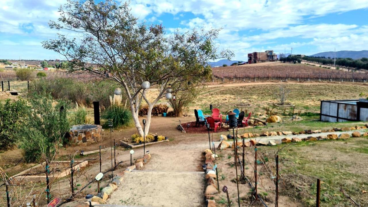 Finca Vidandrei CASA EUCALIPTO Valle de Guadalupe Exteriör bild