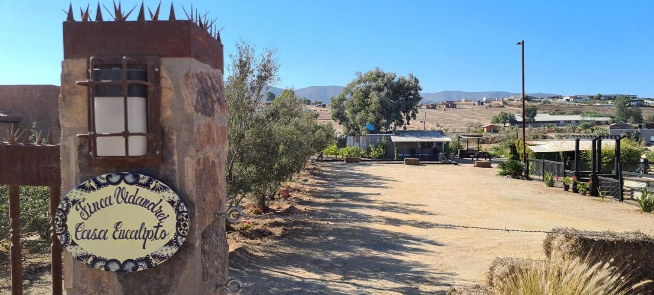Finca Vidandrei CASA EUCALIPTO Valle de Guadalupe Exteriör bild