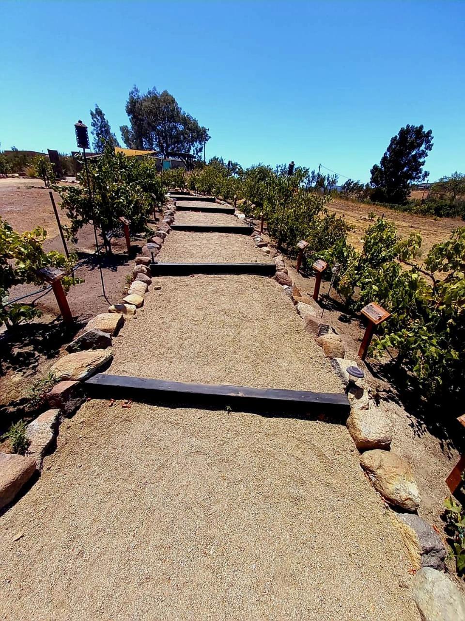 Finca Vidandrei CASA EUCALIPTO Valle de Guadalupe Exteriör bild
