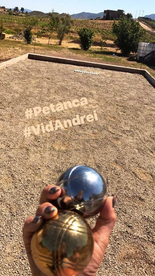 Finca Vidandrei CASA EUCALIPTO Valle de Guadalupe Exteriör bild