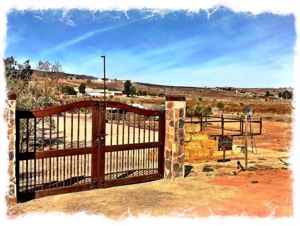 Finca Vidandrei CASA EUCALIPTO Valle de Guadalupe Exteriör bild