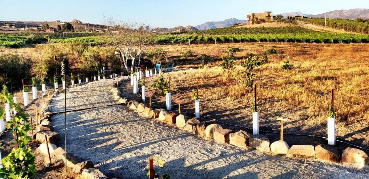 Finca Vidandrei CASA EUCALIPTO Valle de Guadalupe Exteriör bild